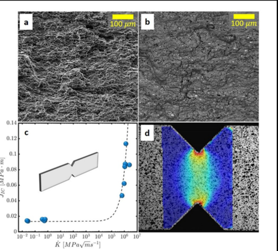 Correlating fracture toughness and fracture surface roughness via correlation length scale