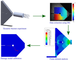 Experimental and numerical study of the interaction between dynamically loaded cracks and pre-existing flaws in edge impacted  PMMA specimens. 