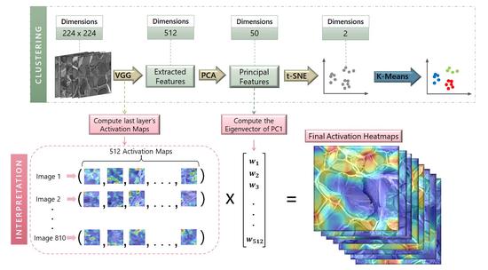 Unsupervised Machine Learning in Fractography: Evaluation and Interpretation